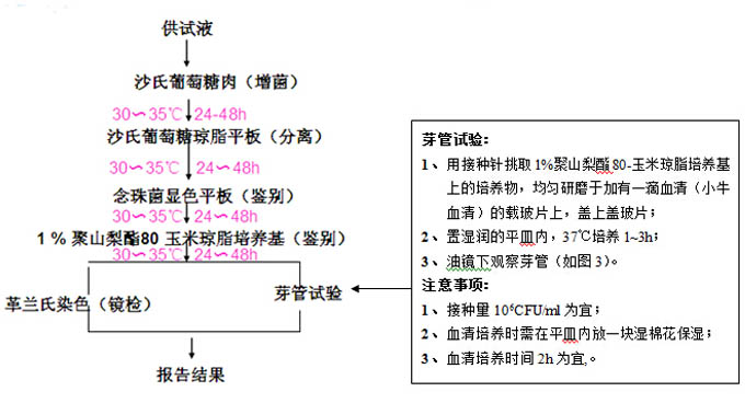 白色念珠菌检测流程 白色念珠菌检测流程