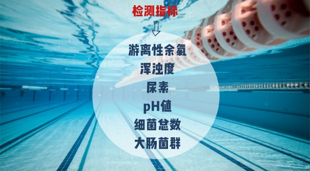 泳池中水质常见的检测项目